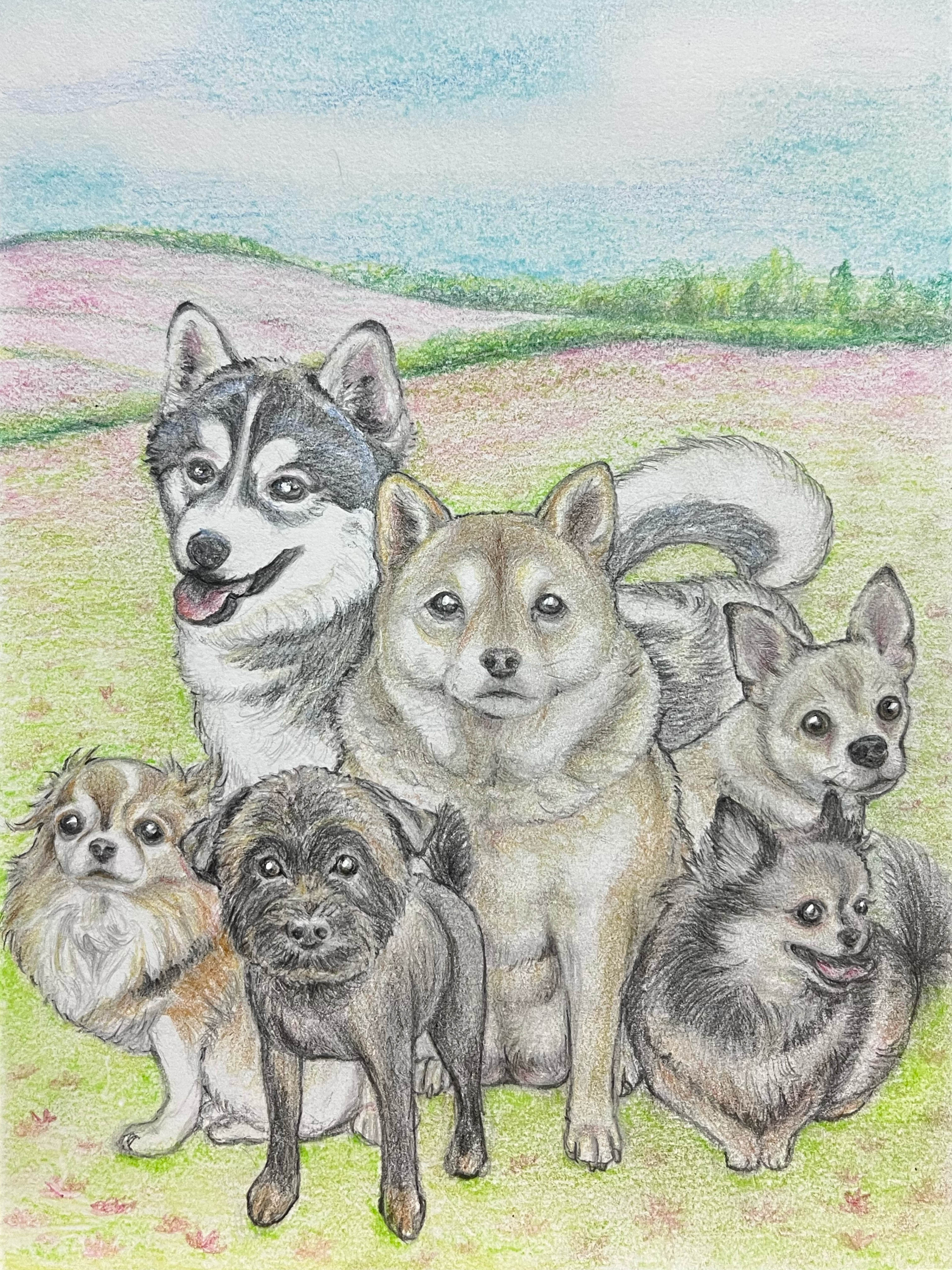 歴代ワンコを描いた鉛筆画の例